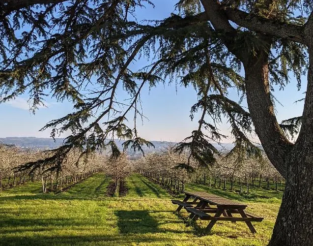 Panzió The Old Presbytery